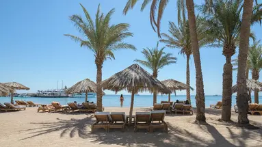 Sindbad Club