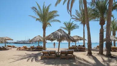 SINDBAD CLUB