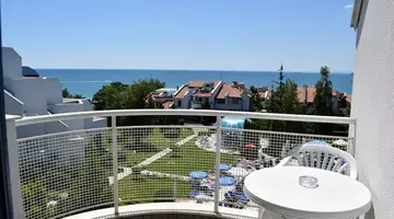 Sineva Park