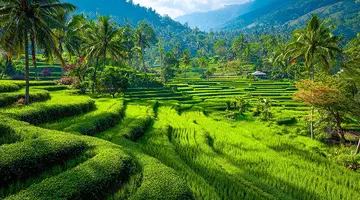 Singapur - Australia - Bali