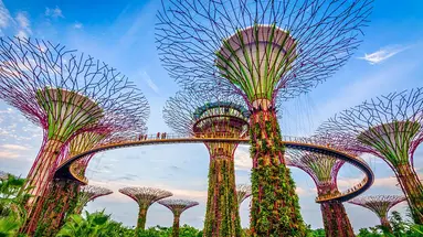 Singapur i Australia