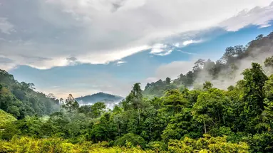 Singapur i Malezja - Azjatyckie Tygrysy z wypoczynkiem na Penang