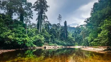 Singapur i Malezja - Azjatyckie Tygrysy