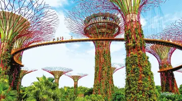 Singapur I Wyspy Indonezji