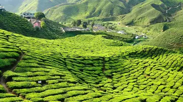 Singapur - Malezja *** z wypoczynkiem na Penang ****
