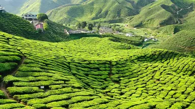 Singapur - Malezja *** z wypoczynkiem na Penang ****