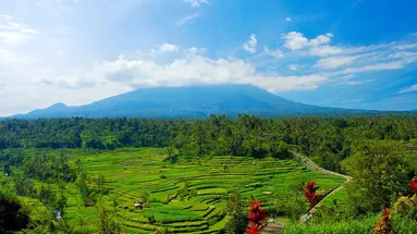 Singapur - Tajlandia - Bali