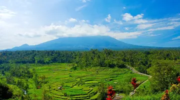 Singapur - Tajlandia - Bali