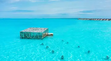 SIRRU FEN FUSHI – PRIVATE LAGOON RESORT