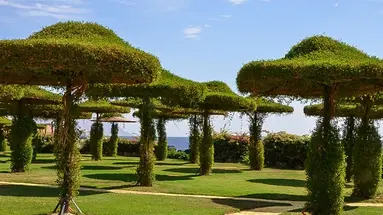 Siva Sharm (Ex.Savita Resort)
