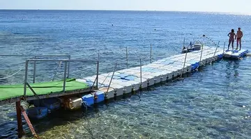 Siva Sharm (Ex.Savita Resort)
