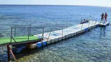 Siva Sharm (Ex.Savita Resort)