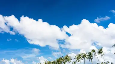 Siyam World