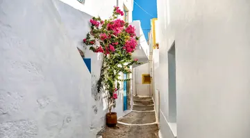 Skąd pochodzi Wenus? - Santorini - Milos - Mykonos