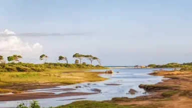 Skarby Sri Lanki i Dziewicze Plaże