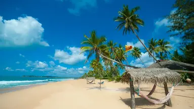 Skarby Sri Lanki i Dziewicze Plaże