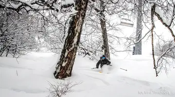 Ski Safari - Narty W Gruzji