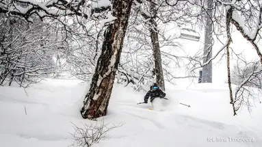 Ski Safari - Narty W Gruzji