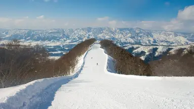 Ski Safari - Narty w Japonii