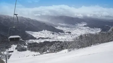 Ski Safari - Narty w Japonii