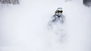 Ski Safari - Narty w Japonii