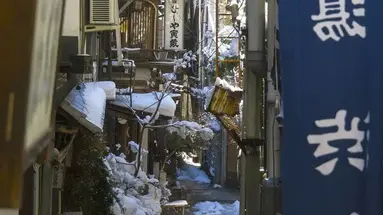 Ski Safari - Narty w Japonii