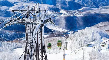Ski Safari - Narty w Japonii
