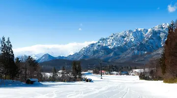 Ski Safari - Narty w Japonii