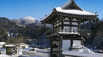 Ski Safari - Narty w Japonii