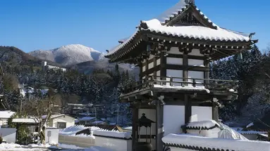 Ski Safari - Narty w Japonii