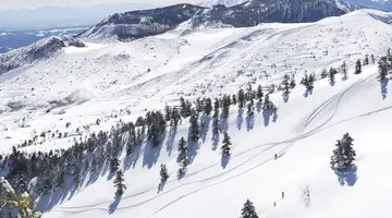Ski Safari - Narty w Japonii