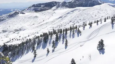 Ski Safari - Narty w Japonii