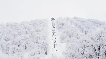Ski Safari - Narty w Japonii