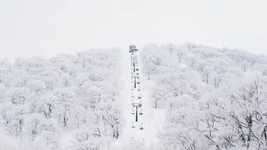 Ski Safari - Narty w Japonii