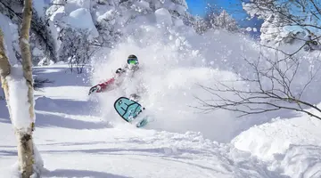 Ski Safari - Narty w Japonii