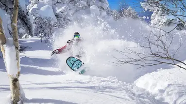 Ski Safari - Narty w Japonii
