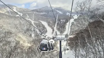 Ski Safari - Narty w Japonii