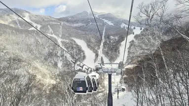 Ski Safari - Narty w Japonii