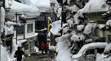 Ski Safari - Narty w Japonii