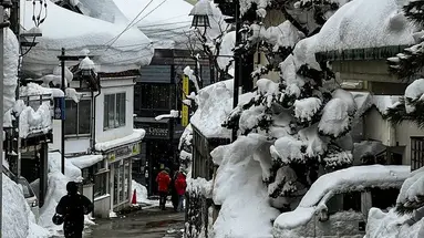 Ski Safari - Narty w Japonii