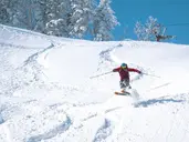 Ski Safari - Narty w Japonii