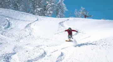 Ski Safari - Narty w Japonii