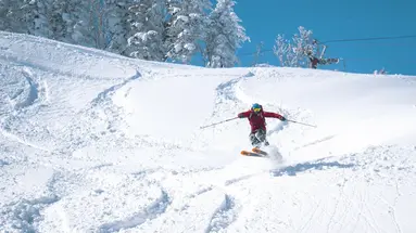 Ski Safari - Narty w Japonii