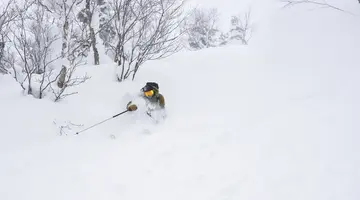 Ski Safari - Narty w Japonii