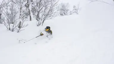 Ski Safari - Narty w Japonii