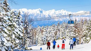 Ski Safari - Narty w Japonii