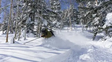 Ski Safari - Narty w Japonii