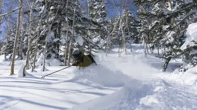 Ski Safari - Narty w Japonii