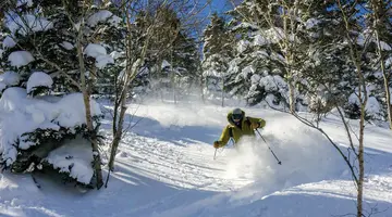 Ski Safari - Narty w Japonii
