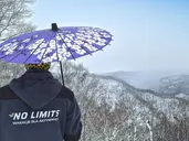 Ski Safari - Narty w Japonii